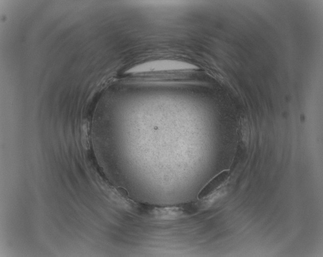 X0000068890378200605261852