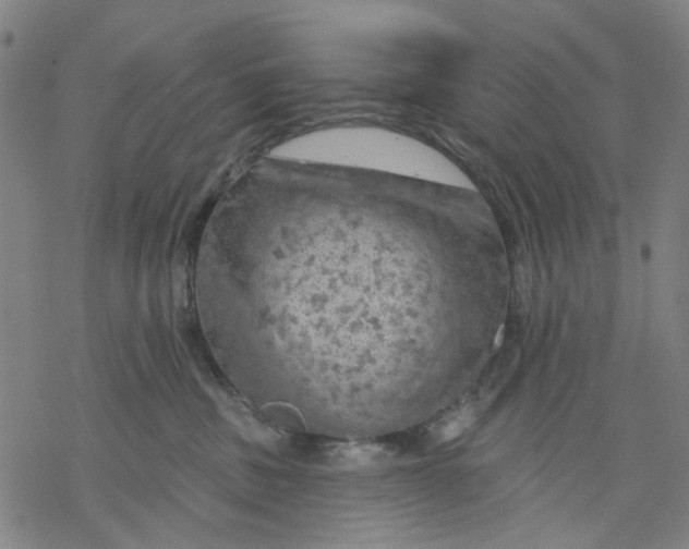 X0000068890379200605261852