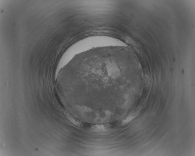 X0000068890381200605261852