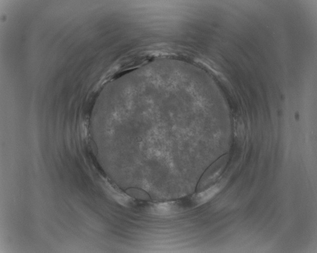 X0000068890382200605261852