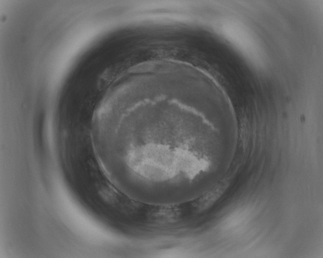 X0000068890383200605261852