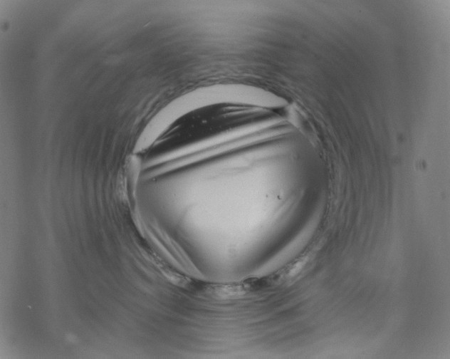 X0000068890384200605261852