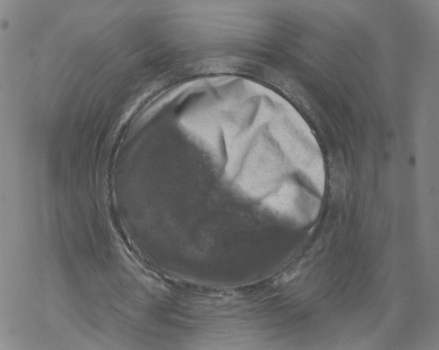 X0000068890386200605261851