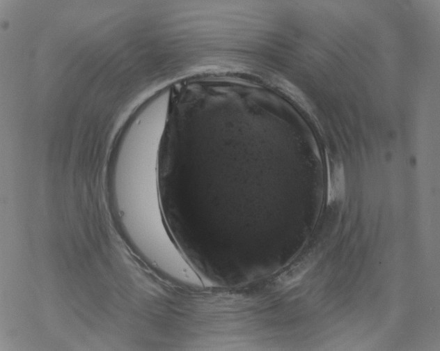 X0000068890387200605261851