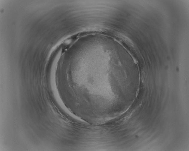 X0000068890388200605261851