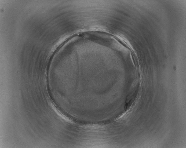 X0000068890389200605261851