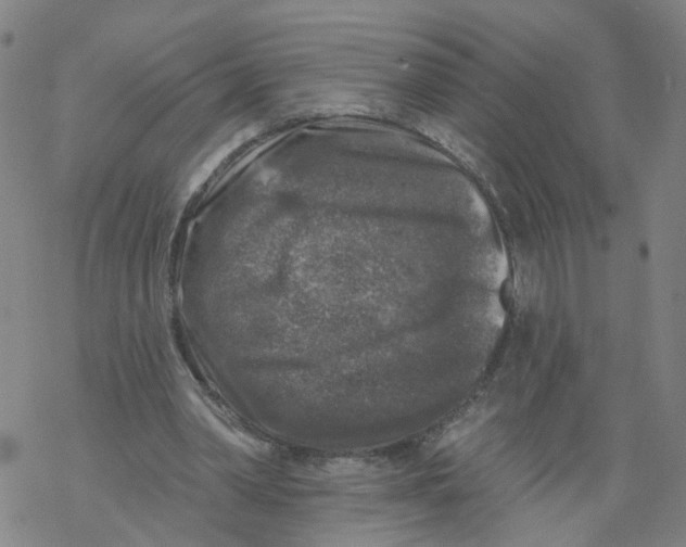 X0000068890390200605261851