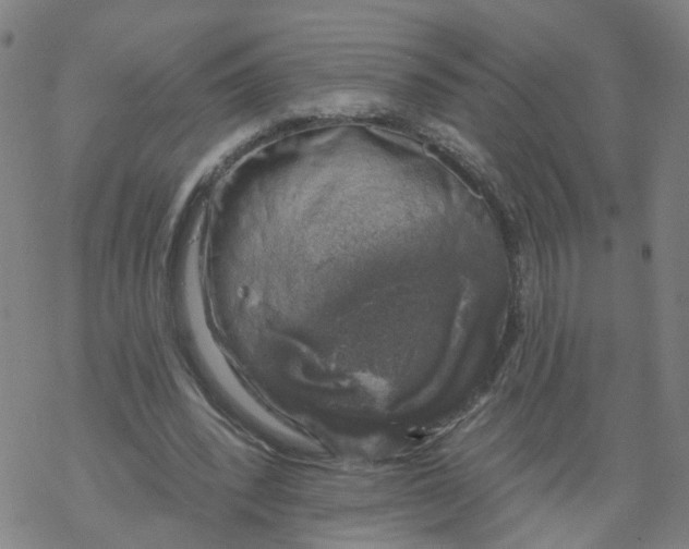 X0000068890392200605261851