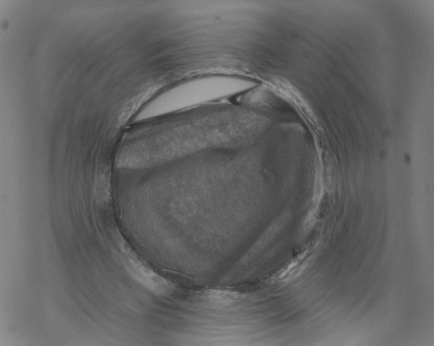 X0000068890393200605261851