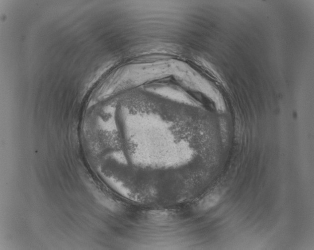 X0000068890394200605261851