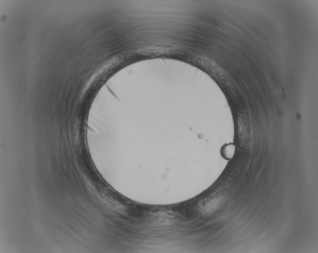 X0000068890396200605261851