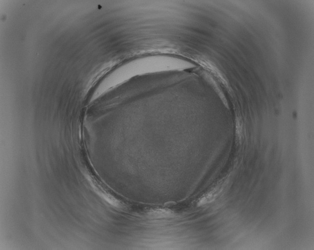 X0000068890397200605261851