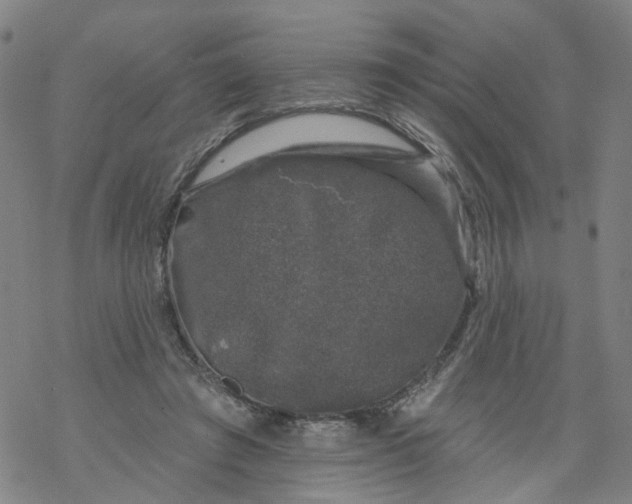 X0000068890401200605261851