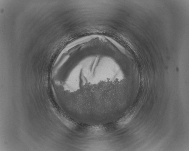 X0000068890402200605261851