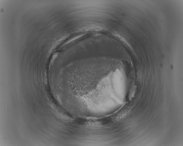 X0000068890403200605261851