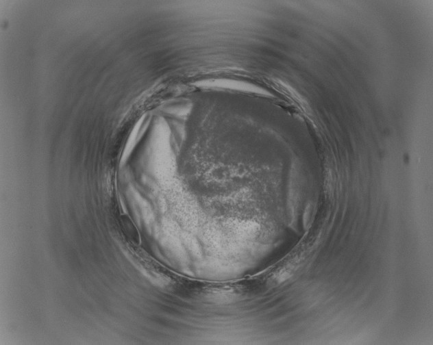 X0000068890405200605261851