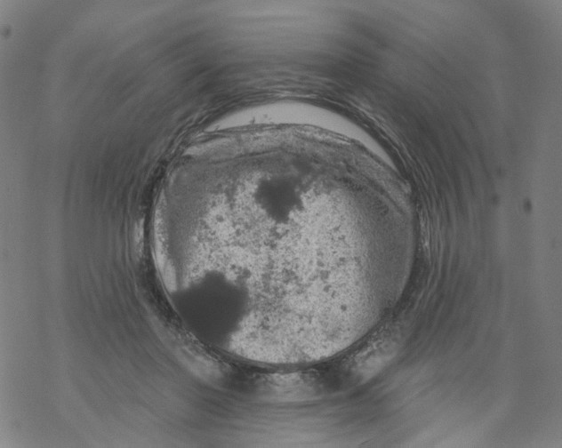 X0000068890406200605261851