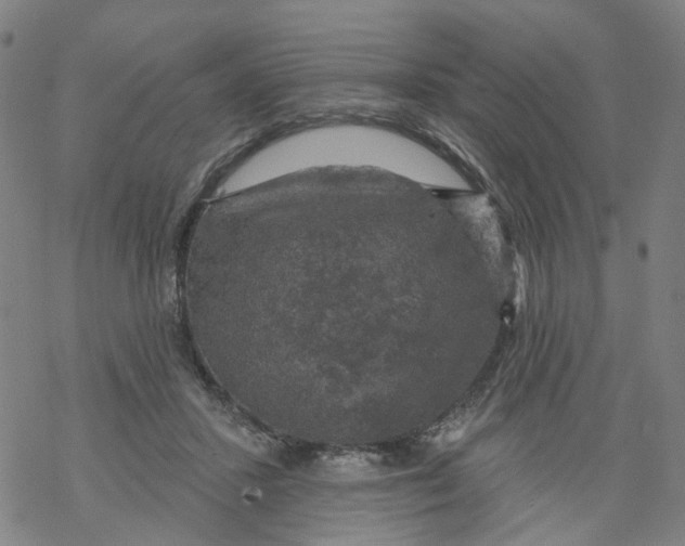 X0000068890407200605261851