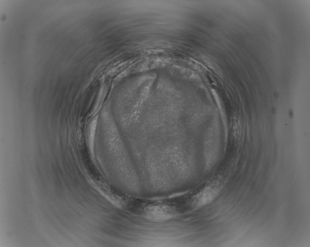 X0000068890408200605261851