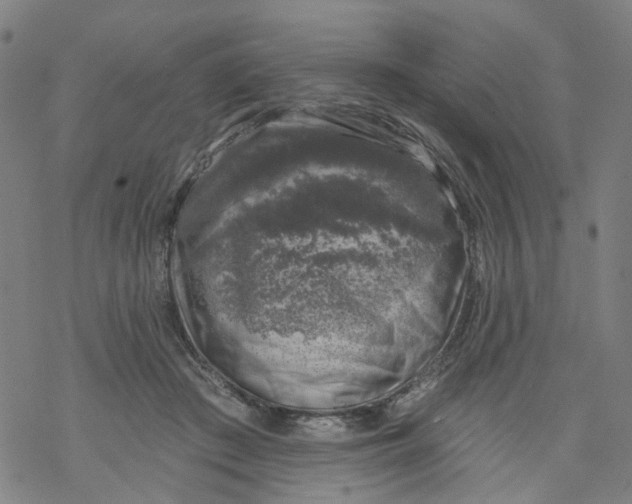 X0000068890409200605261851