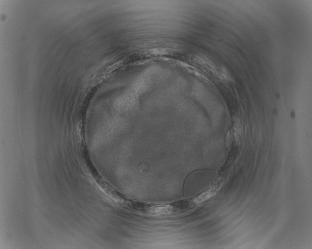 X0000068890410200605261851