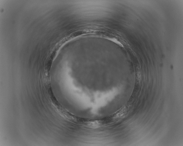 X0000068890411200605261851