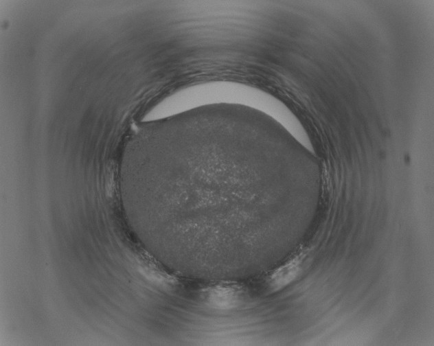 X0000068890412200605261851