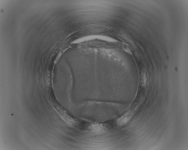 X0000068890413200605261851