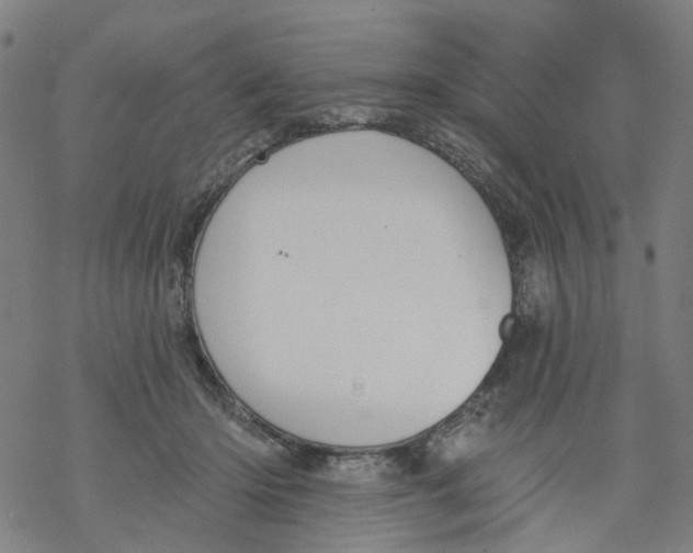 X0000068890414200605261851