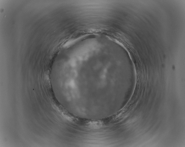 X0000068890415200605261851