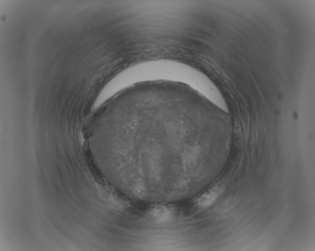 X0000068890416200605261851