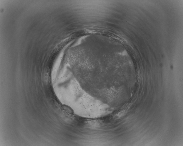 X0000068890417200605261851