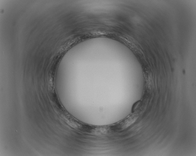 X0000068890418200605261851