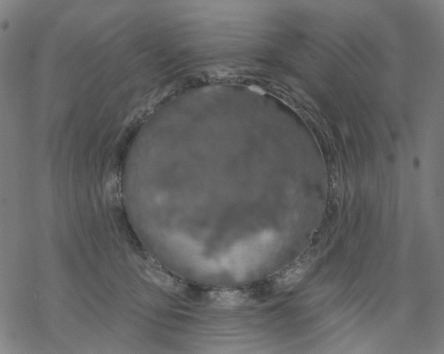 X0000068890419200605261851