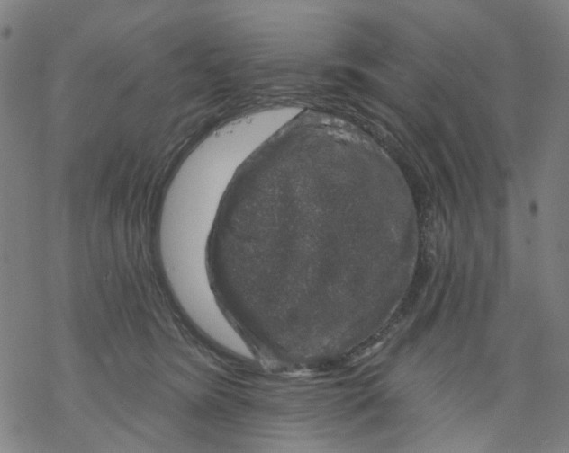 X0000068890420200605261851