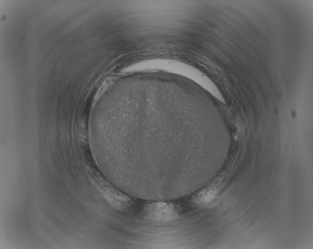 X0000068890421200605261850