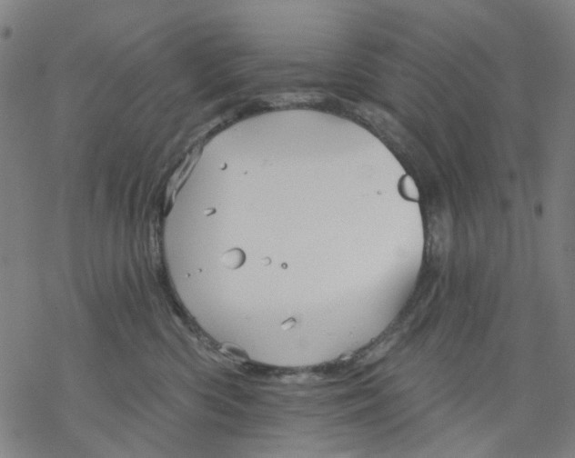 X0000068890426200605261850