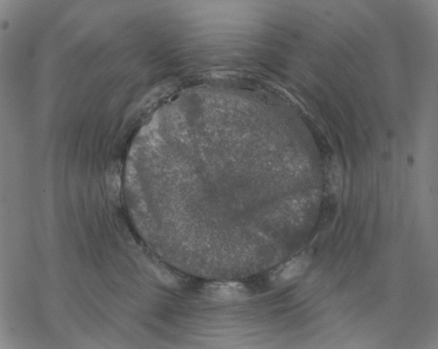 X0000068890427200605261850