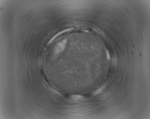 X0000068890429200605261850