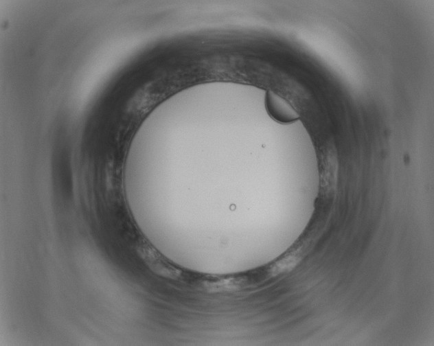 X0000068890430200605261850