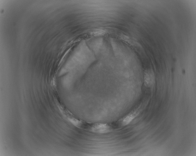 X0000068890431200605261850