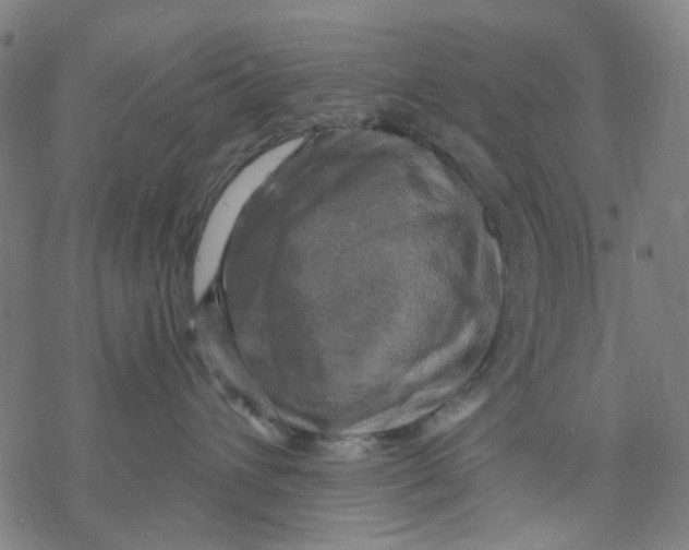 X0000068890432200605261850