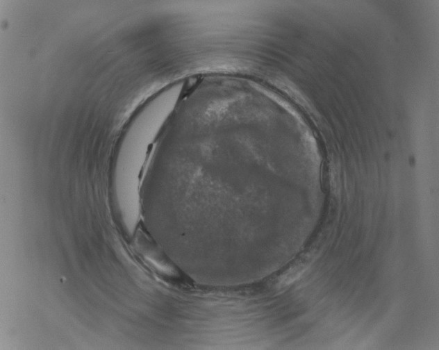 X0000068890434200605261850