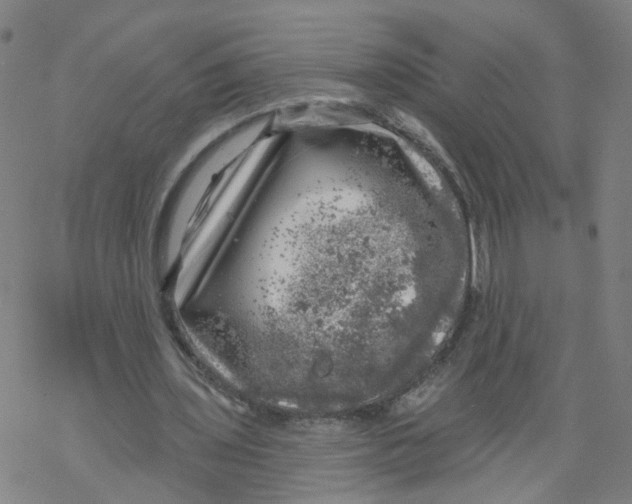 X0000068890435200605261850