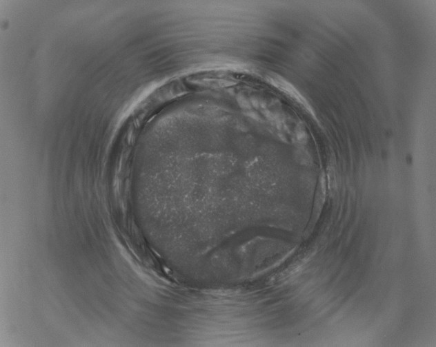 X0000068890436200605261850