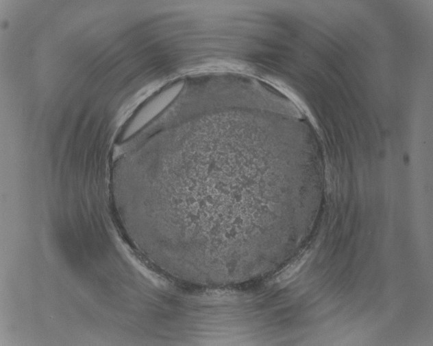 X0000068890437200605261850