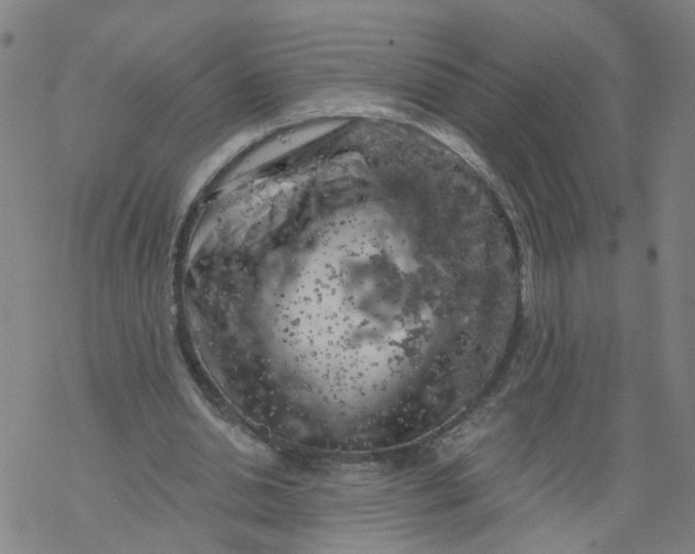 X0000068890438200605261850