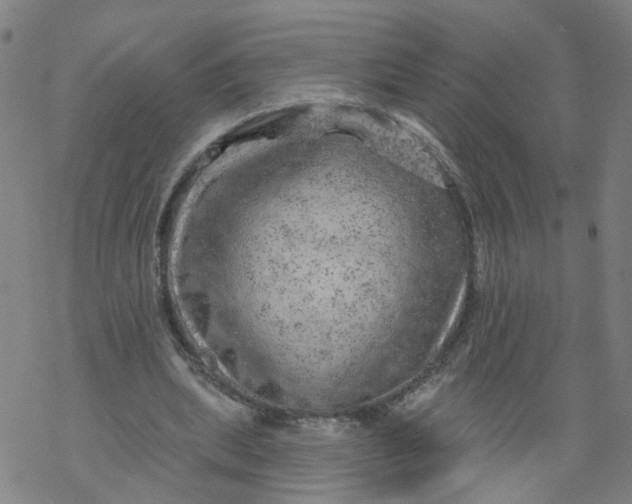 X0000068890439200605261850