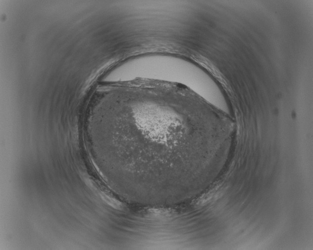 X0000068890442200605261850