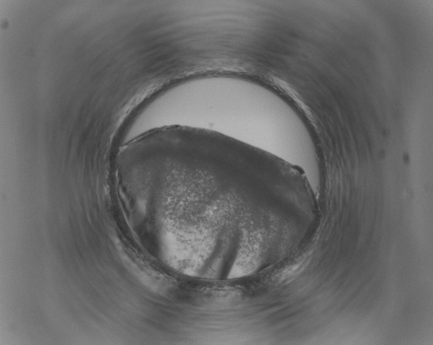 X0000068890443200605261850